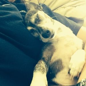 Meet your Posher, Donna